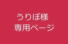 うりぼ様　専用　6月 — image 1