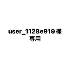 user_1128e919様専用 ページ — image 1