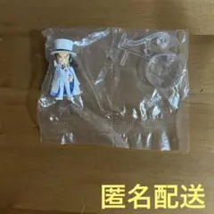 ワンピの実　ロブルッチ　カプセルなし — image 1