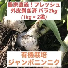 【農薬不使用】生ジャンボニンニク バラ2kg(1kg×2袋) — image 1