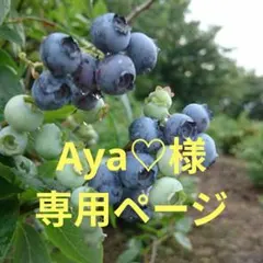 Aya♡様　専用ページ — image 1