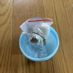 正規品　けだまだま 猫 カプセルトイ ガチャ　シャム猫 — image 1