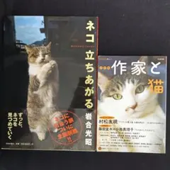 猫で二選　初版　『作家と猫』文藝別冊　『ネコ　立ちあがる』岩合光昭 — image 1