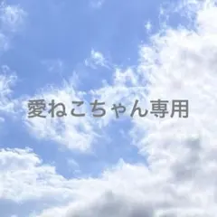 専用 — image 1