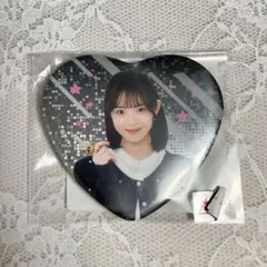ゴジュウジャー TOSくじ 缶バッジ 一河角乃 — image 1