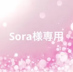 Sora様専用 — image 1