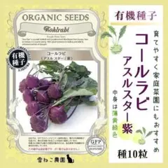 【野菜の種】コールラビ紫アスルスター１０粒　甘くて柔らか！栄養豊富！生食可！ — image 1