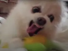 ジュニ様専用ページ — image 1