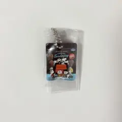 新品 PEANUTS ビスケットミニチュアチャーム ガチャ — image 1