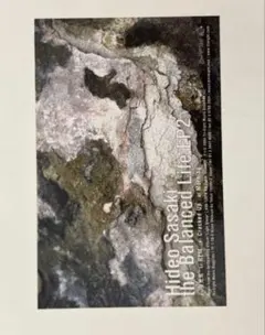 5 — image 1