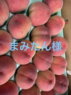 専用 — image 1