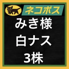 ネコポス追加購入 — image 1