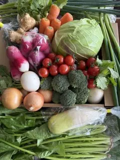 京丹後産野菜詰め合わせ６０サイズ送料込み — image 1