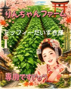 ⑧ 湯あがり娘 枝豆 — image 1