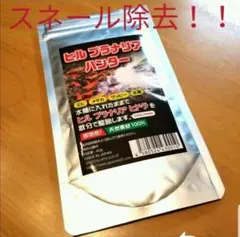 【スネール除去！】ヒル　プラナリアハンター — image 1
