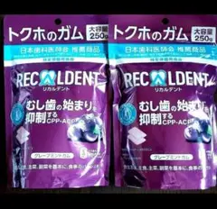 リカルデント グレープミントガム 250g✕2袋セット — image 1