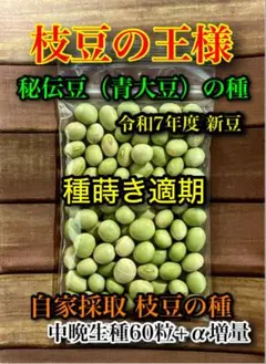 shuu15様 リクエスト 2点 まとめ商品 — image 1