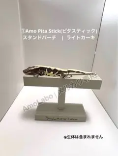 Amo Labo｜①RK爬虫類 餌やりスタンド　止まり木 — image 1