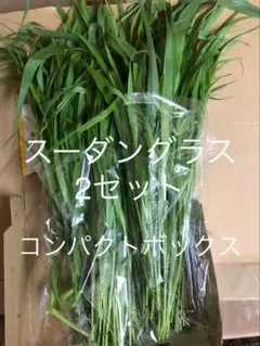 生牧草スーダングラス2セットコンパクトボックス — image 1