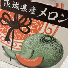 めろんです — image 1
