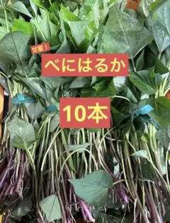 Tk Kii様 リクエスト 2点 まとめ商品 — image 1