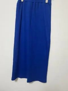WEGO リブタイトスカート 青 — image 1