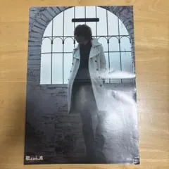 luz ポスター A3 — image 1