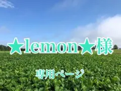 ★lemon★様専用ページ — image 1