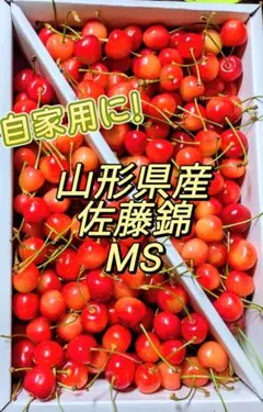 【末期大特価品】山形県産 さくらんぼ 佐藤錦 MS丸秀 1kg — image 1