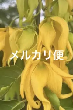 チャド様　メルカリ便代金 — image 1