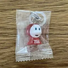 値下げ❗️ Bリーグ マスコット めじるしアクセサリー2 ディーディー 名古屋DD — image 1