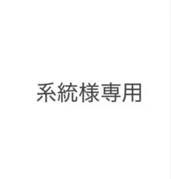 系統様専用【送料込み】THE COLDEST MOMENT TCMapo T — image 1