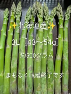 3Lサイズ✨️北海道産⭐️グリーンアスパラ⭐️ — image 1