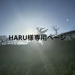 HARU様専用ページ — image 1