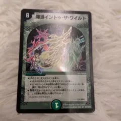 デュエルマスターズ 爆進イントゥザワイルド — image 1