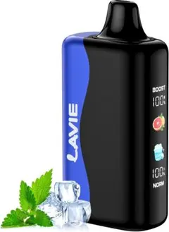電子タバコ　べイプ　使い捨て　30000回吸引可能　充電式　ミント　シーシャ — image 1