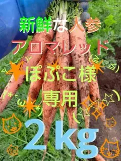 【ぽぷこ様専用】★新鮮な人参アロマレッド★ — image 1