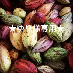 ★ゆり様専用★ — image 1
