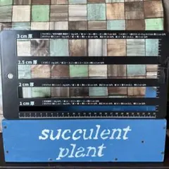 木製プランターボックスタイプsucculent plant — image 1