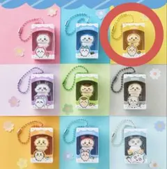 ちいかわチョコボックス うさぎ — image 1