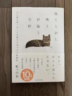 捨てられた僕と母猫と奇跡 : 心に傷を負った二人が新たに見つけた居場所 — image 1