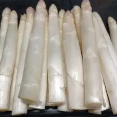 ホワイトアスパラガスB級品【700g】 露地栽培 — image 1