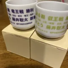 藤井聡太 お猪口 — image 1
