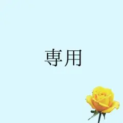 専用出品 — image 1
