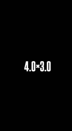 4.0×3.0 — image 1