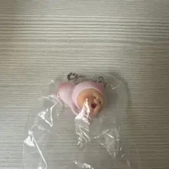 こびとづかん カクレモモジリコレクション — image 1