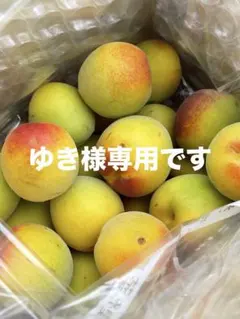 ゆき様専用品 — image 1