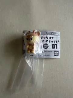 MINITEEN ジョシュア SHUASUMI — image 1