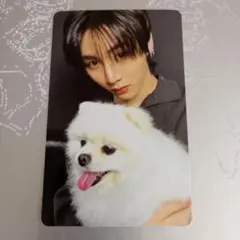 ボネクド home weverse トレカ チャンイ テサン — image 1