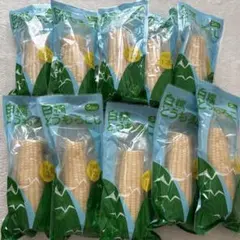 静安 白糯とうもろこし 10本セット — image 1
